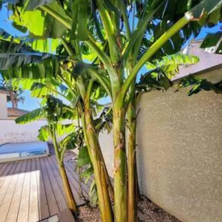 Vila Jolie Maison Jardin Piscine