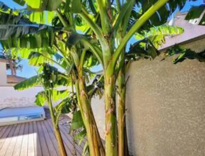 Villa Jolie Maison Jardin Piscine